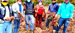 Productores